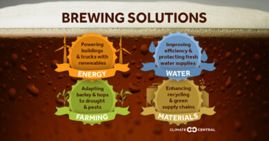 sustainable brewing