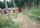 Farm to Bottle BC | tasty brew in Village of Gibson’s on Sunshine Coast |