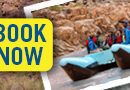 raft grand canyon